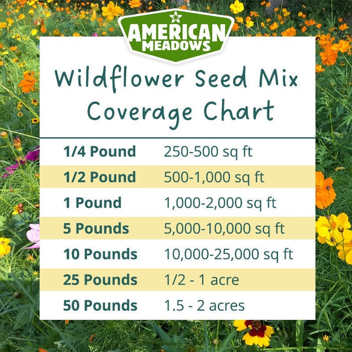 Texas & Oklahoma Select Wildflower Seed Mix