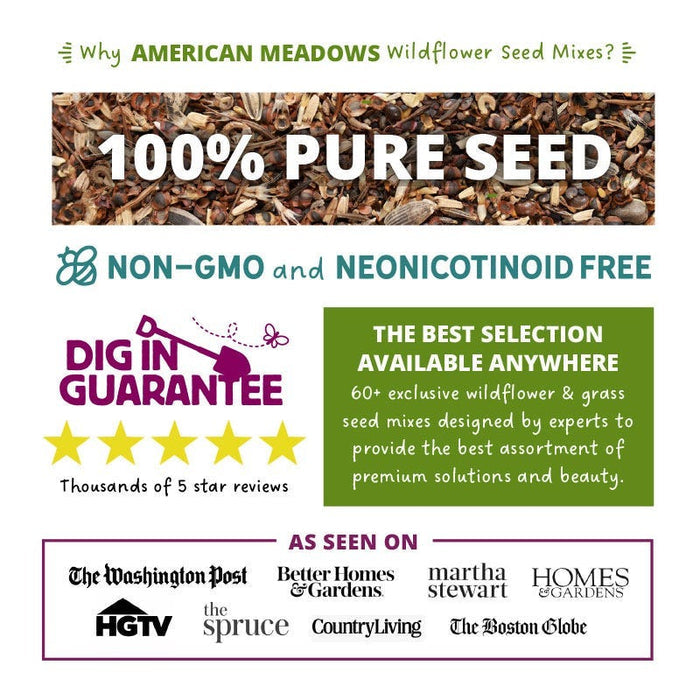 Texas & Oklahoma Select Wildflower Seed Mix