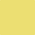 Shop the paint color 2024-40 Yellow Finch by Benjamin Moore at Anderson Paint Company in Ann Arbor, Michigan.