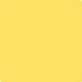 Shop the paint color 2021-40 Yellow Highlighter by Benjamin Moore at Anderson Paint Company in Ann Arbor, Michigan.