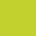 Shop the paint color 2025-20 Yew Green by Benjamin Moore at Anderson Paint Company in Ann Arbor, Michigan.