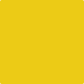 Shop the paint color 2023-10 Yolk by Benjamin Moore at Anderson Paint Company in Ann Arbor, Michigan.