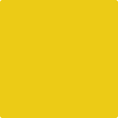Shop the paint color 2023-10 Yolk by Benjamin Moore at Anderson Paint Company in Ann Arbor, Michigan.